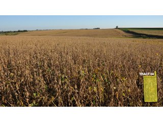 Property photo 9 - 1,153 +/- Acres offered in 15 TractsLAND AUCTION